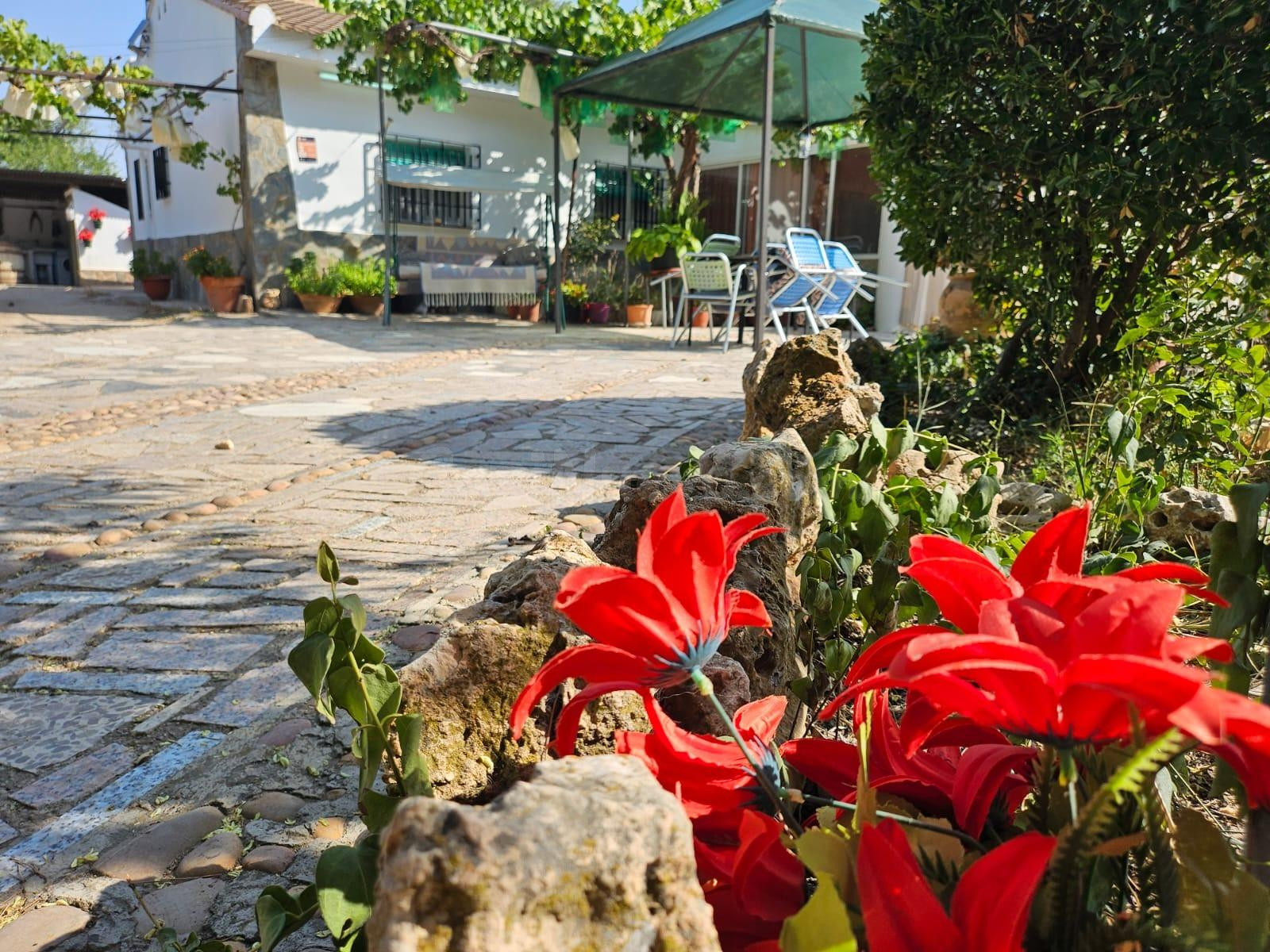 Chalet en casas viejas