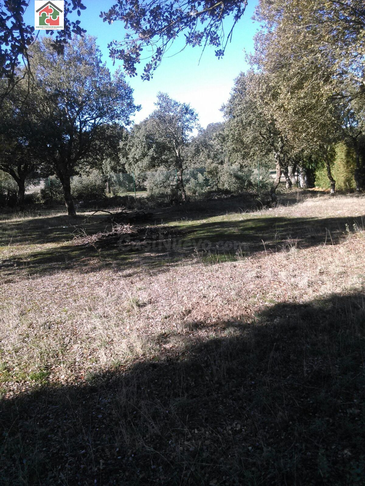PARCELA CONSOLIDADA CUATRO CALZADAS - foto 2