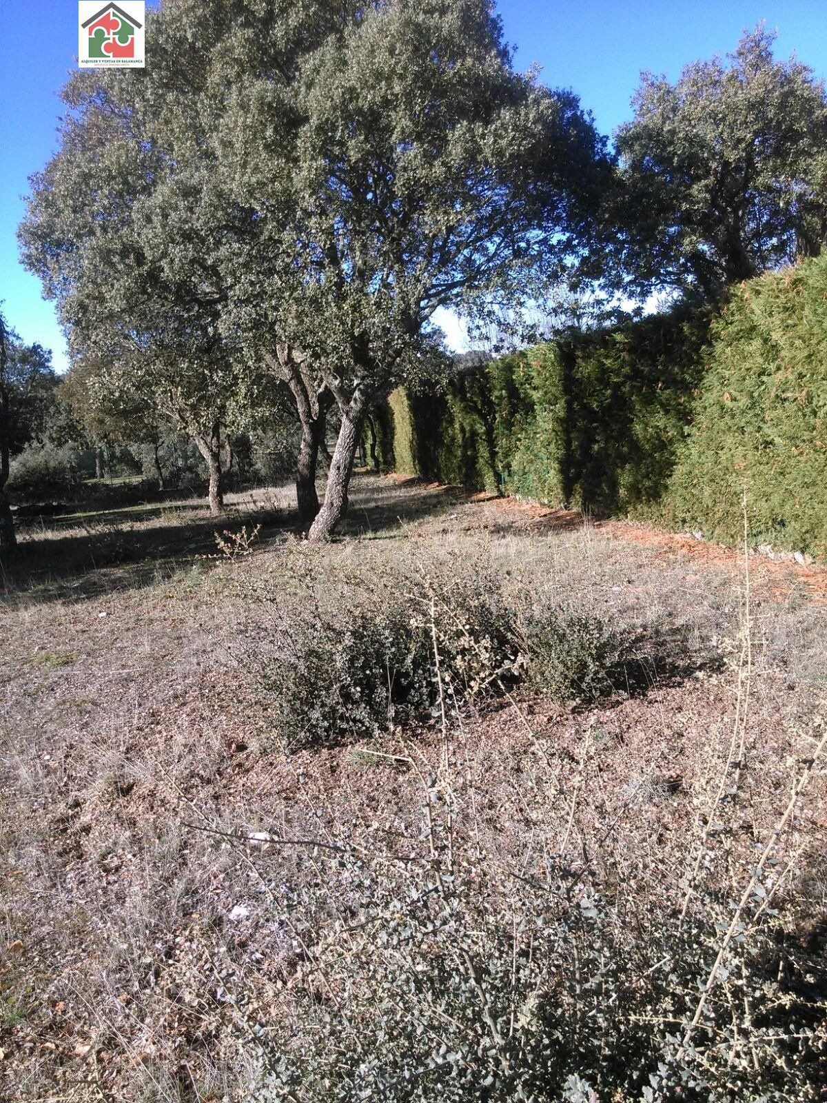 PARCELA CONSOLIDADA CUATRO CALZADAS - foto 3