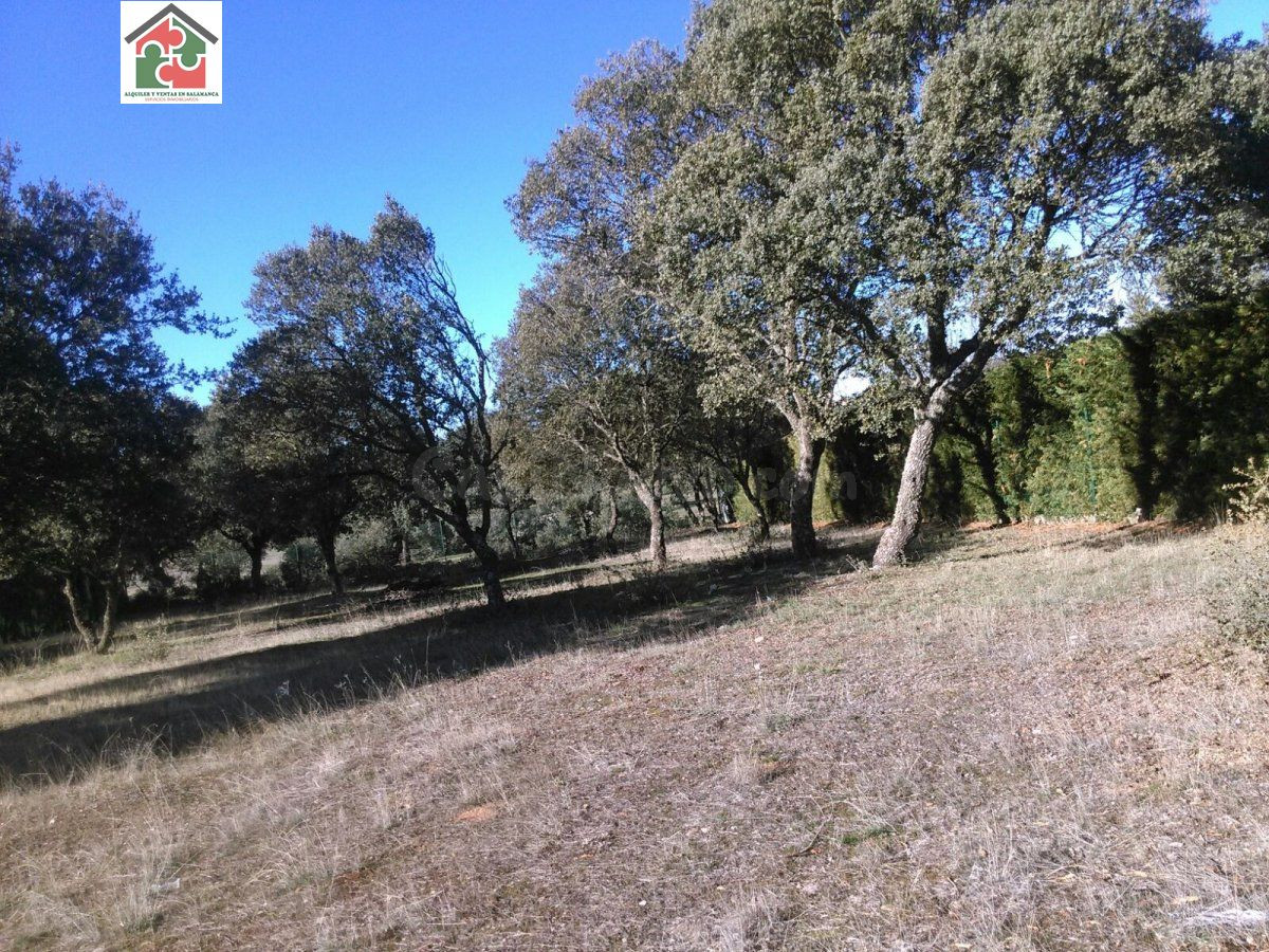 PARCELA CONSOLIDADA CUATRO CALZADAS - foto 5