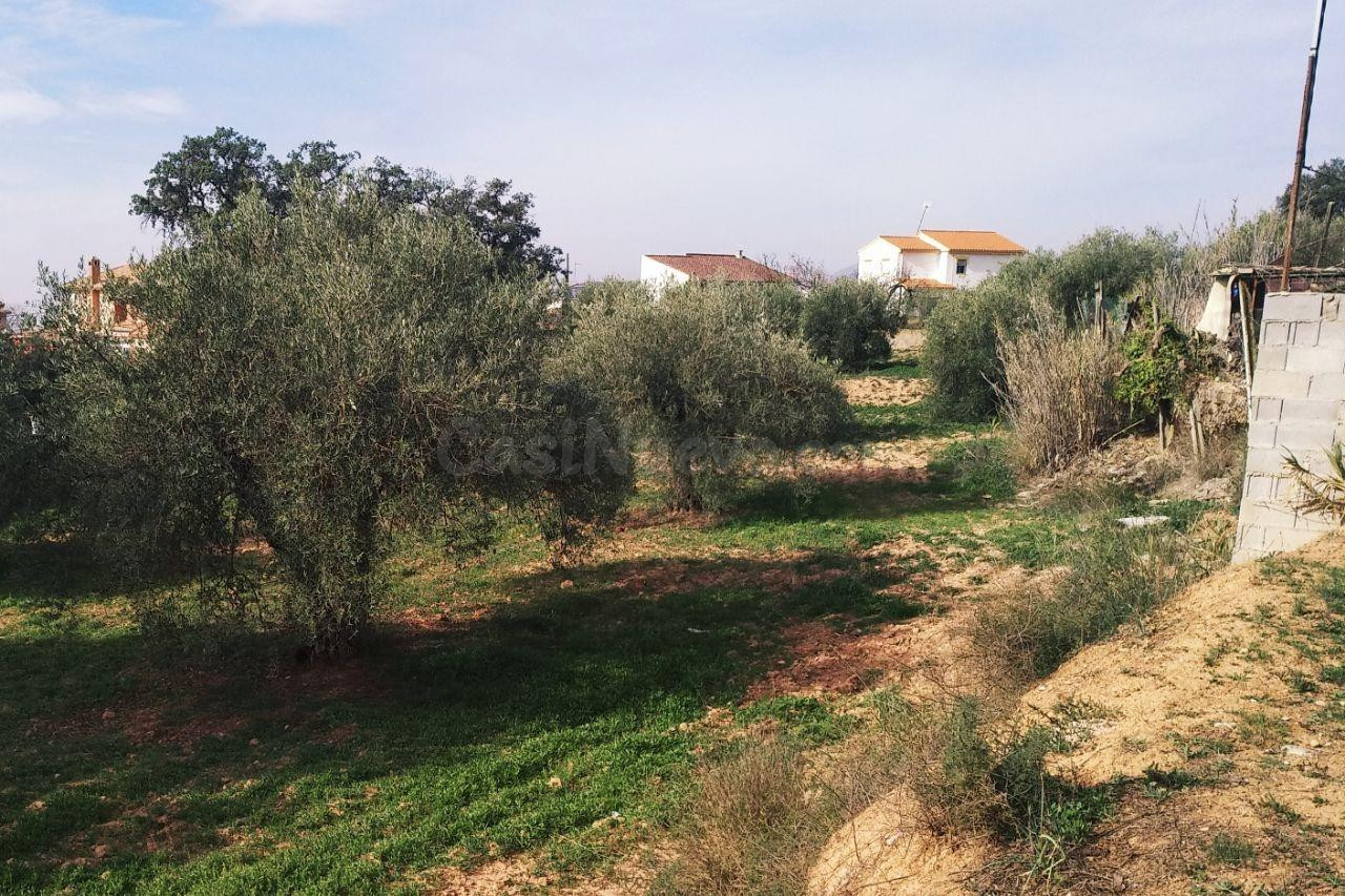 ¡Oportunidad única para invertir en un terreno urbanizable en una excelente ubicación!