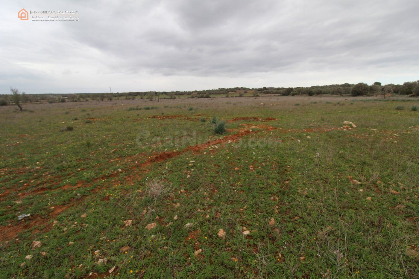Terrenos Rústicos Edificable en Ses Salines