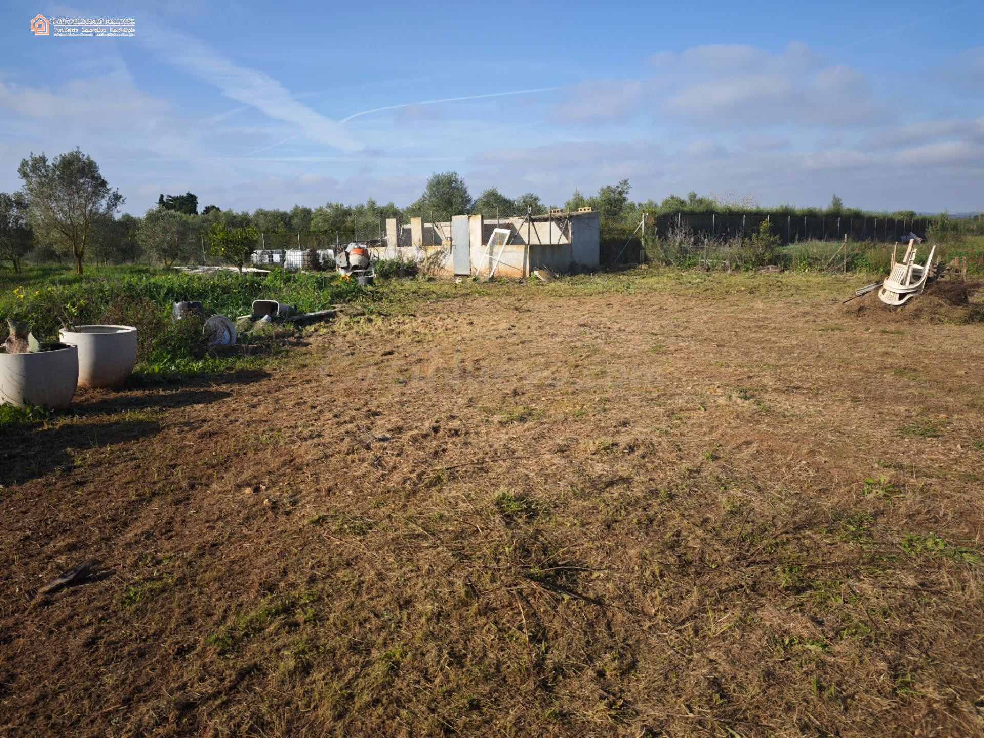 Parcela Rústica de 2.689 m2 en Felanitx â Zona Segona Volta