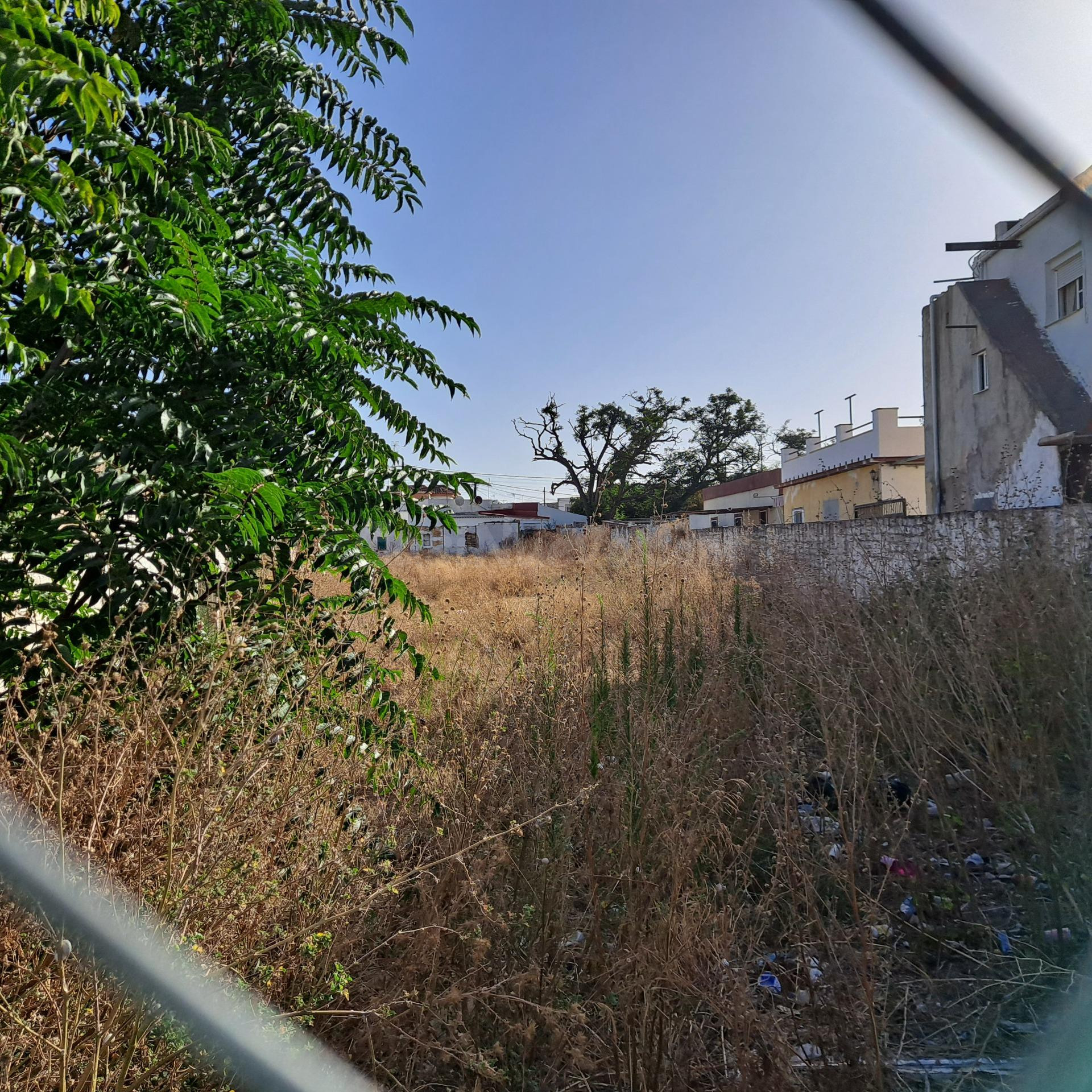 Parcela Urbana en Monteolivete