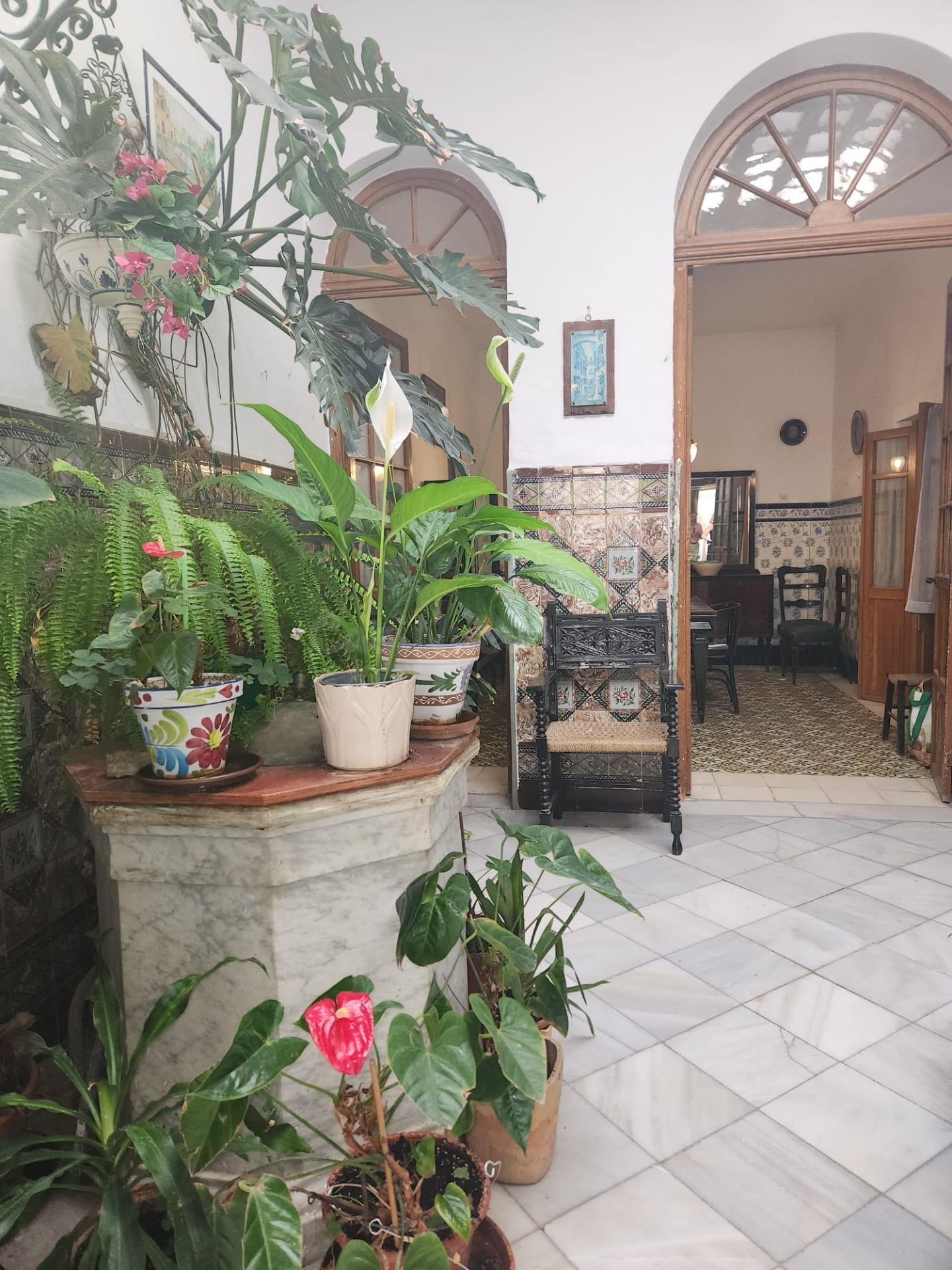 CASA SOLA EN EL CORAZON DE SAN FERNANDO