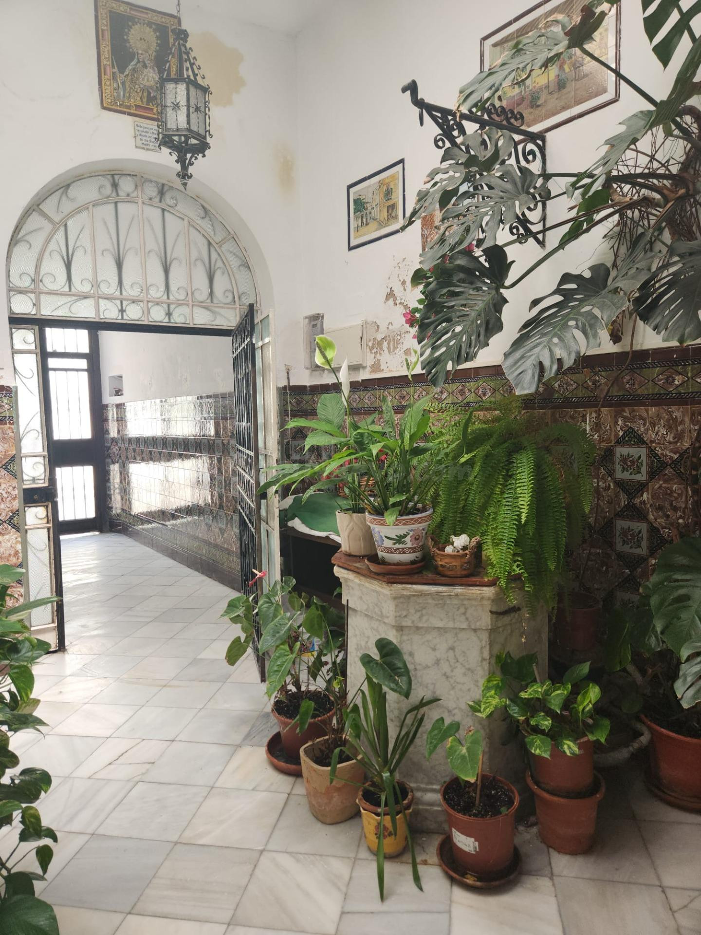 CASA SOLA EN EL CORAZON DE SAN FERNANDO - foto 2