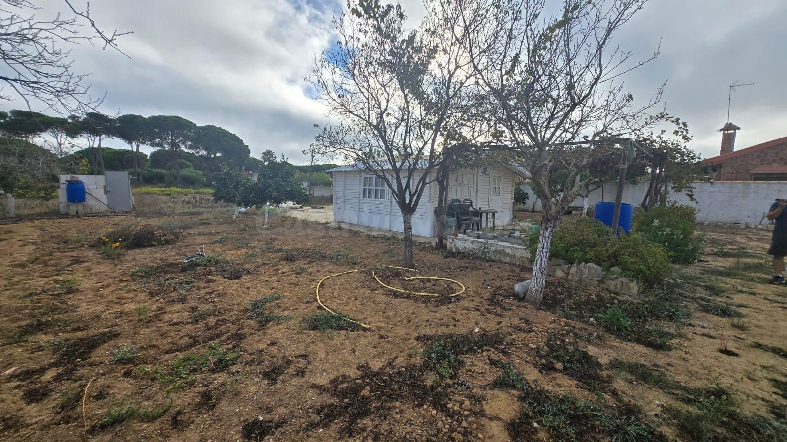 Parcela con refugio de madera zona Rana verde.