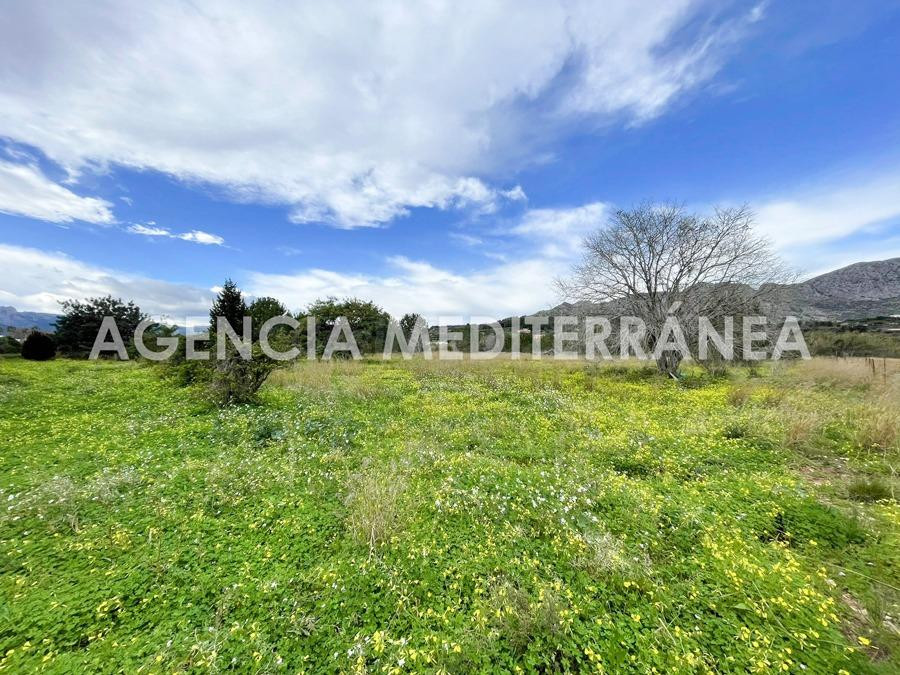 TERRENO URBANIZABLE de 11.500m2 EN BENIARBEIG