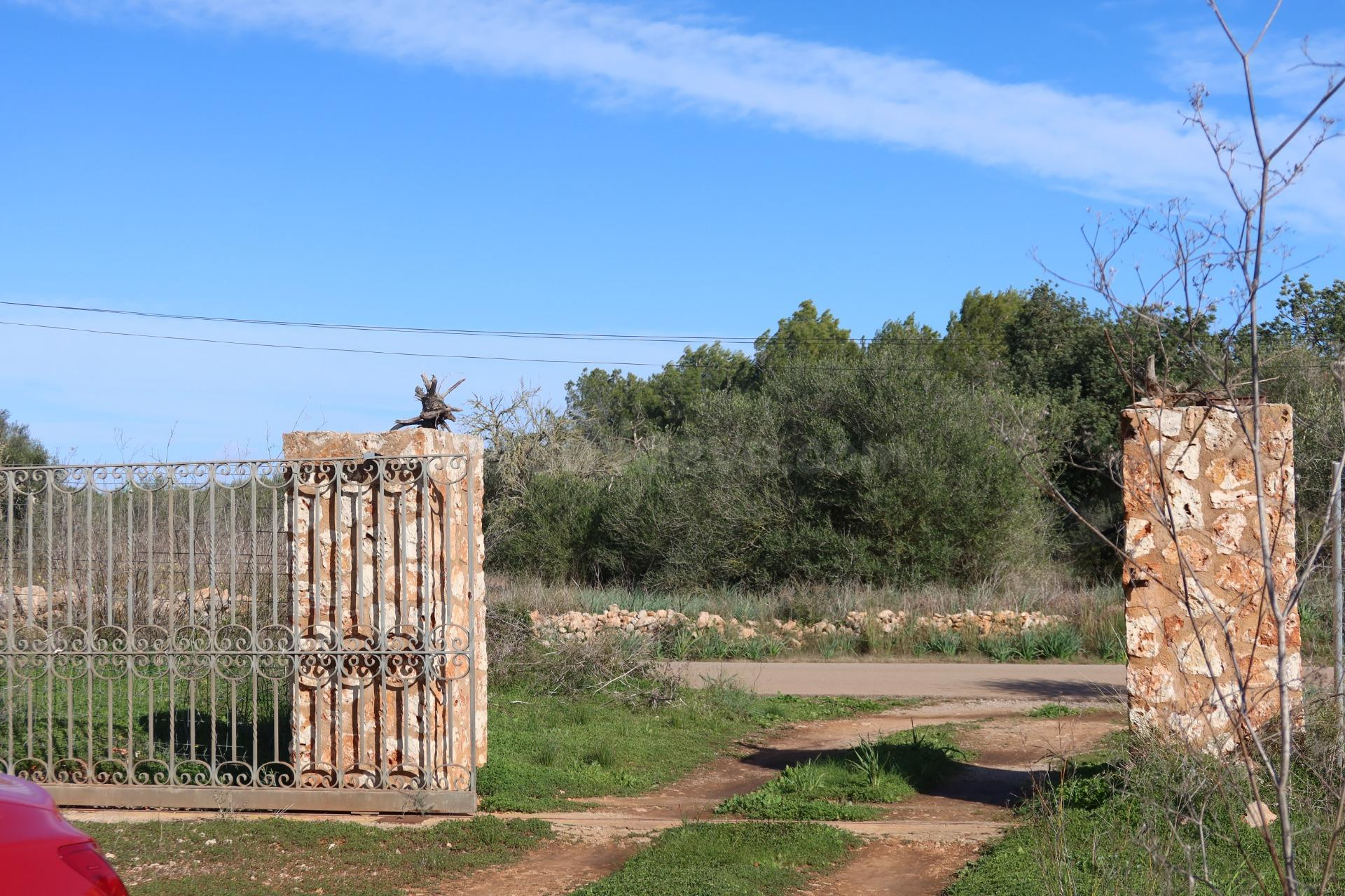 Parcela edificable con gran privacidad en Campos – 14.625 m2
