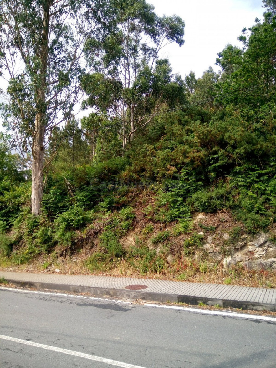 VENTA DE TERRENO EDIFICABLE EN LUGAR DE VENTOSA S/N (AMES) SANTIAGO