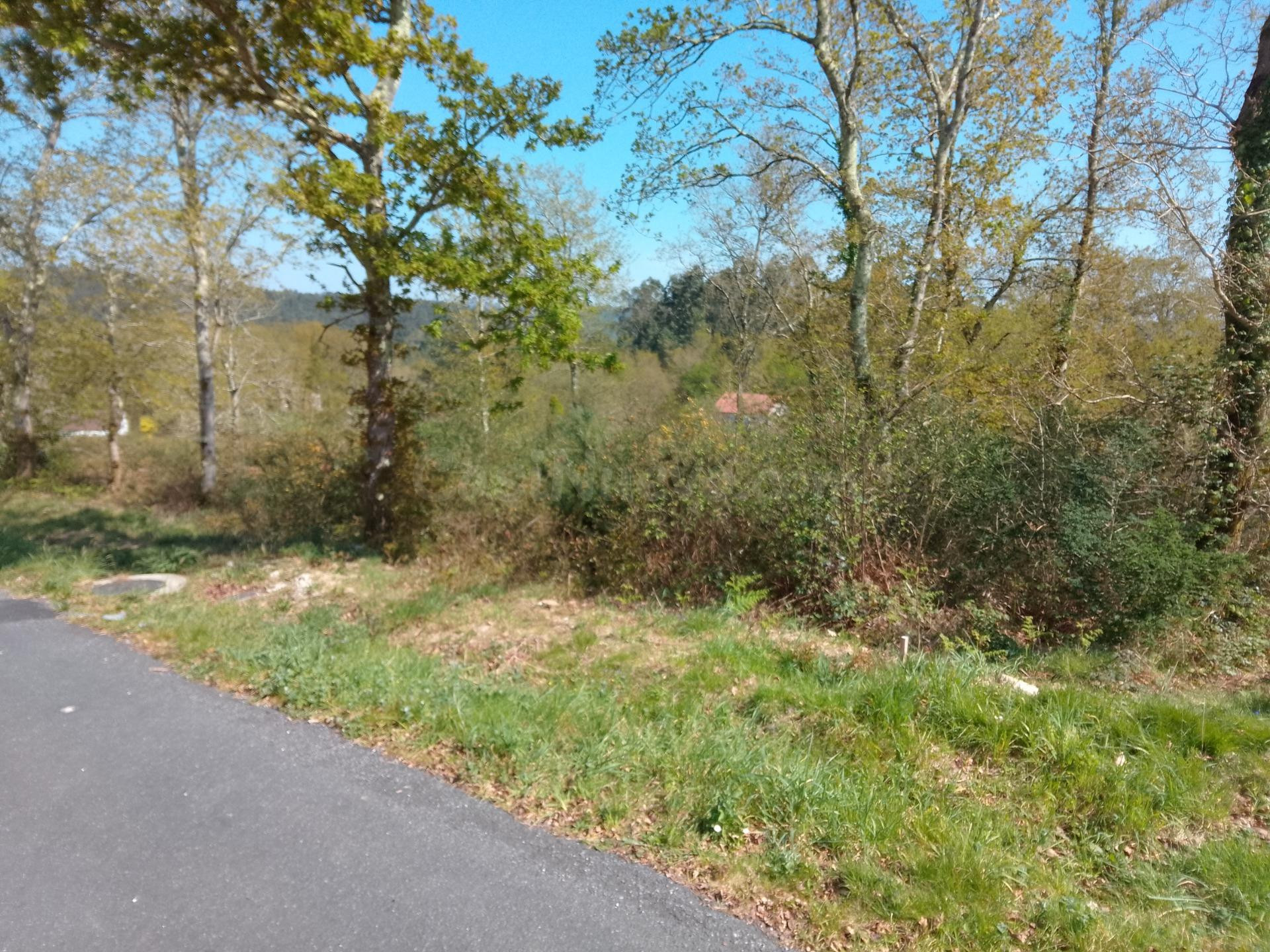 SE VENDE TERRENO EDIFICABLE EN BRANS DE ABAIXO (BRIÓN)