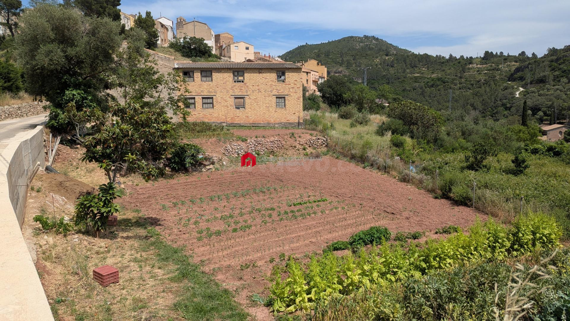 Se vende parcela rústica de 714 m2 en Alfara de Carles (Tarragona).