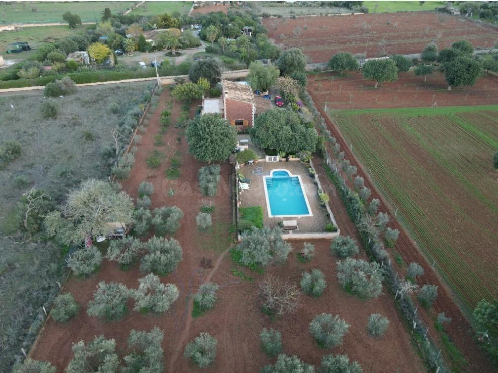 Finca muy cuidada en un entorno privilegiado y muy cercana al Pueblo de Llucmajor