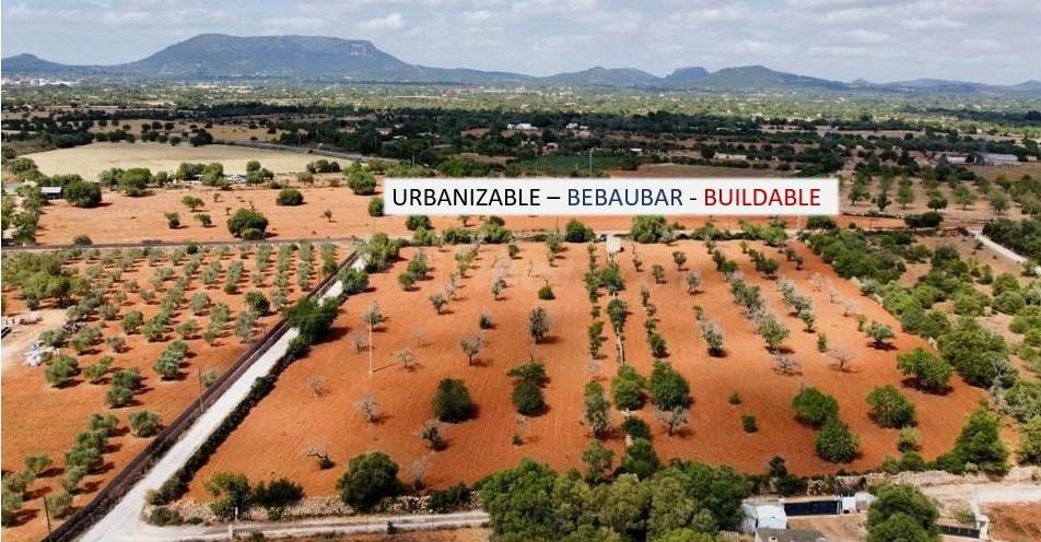 Terreno Rústico Urbanizable en Ubicación Privilegiada