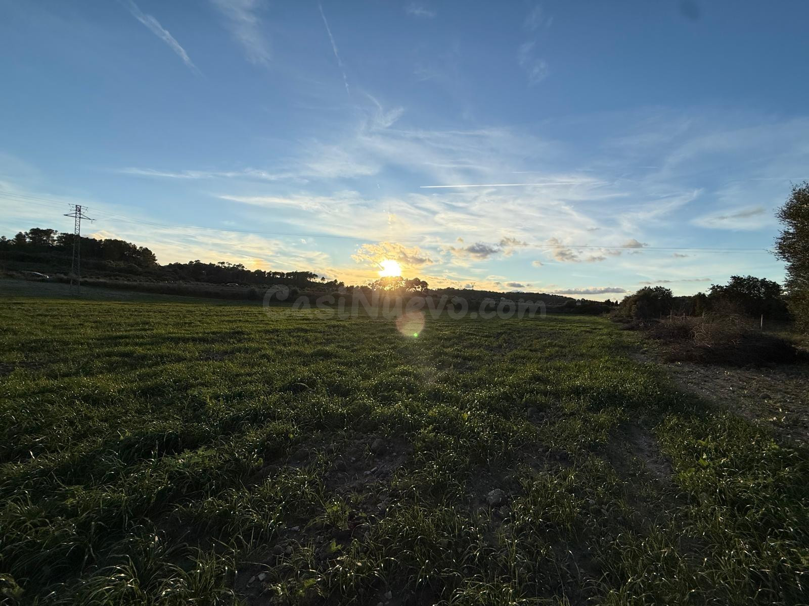 Terreno Agrario Sant Juan
