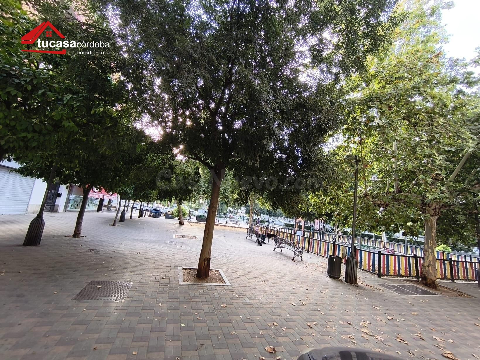 AMPLIO LOCAL EN AV. BARCELONA-VIÑUELA