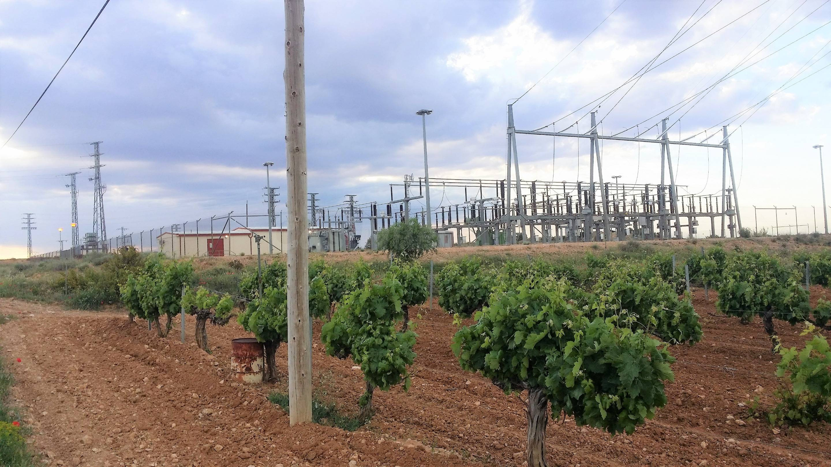 SE VENDE Parcela en Mahora (Albacete). Ideal para inversión de un huerto solar.