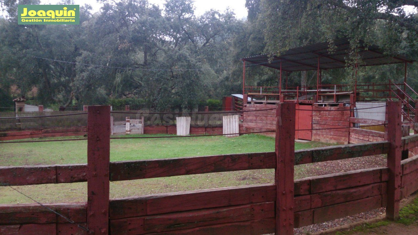 GRAN FINCA RURAL EN TRASSIERRA ¡ IDEAL INVERSIÓN!