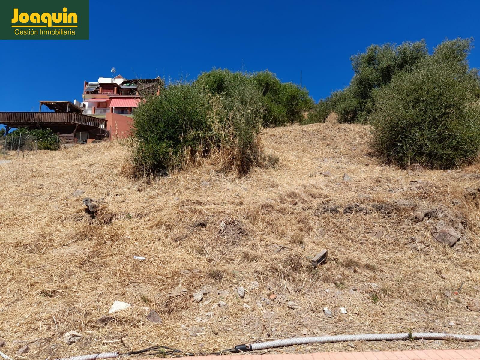 TERRENO URBANO EN LOS ENCINARES DE ALCOLEA.