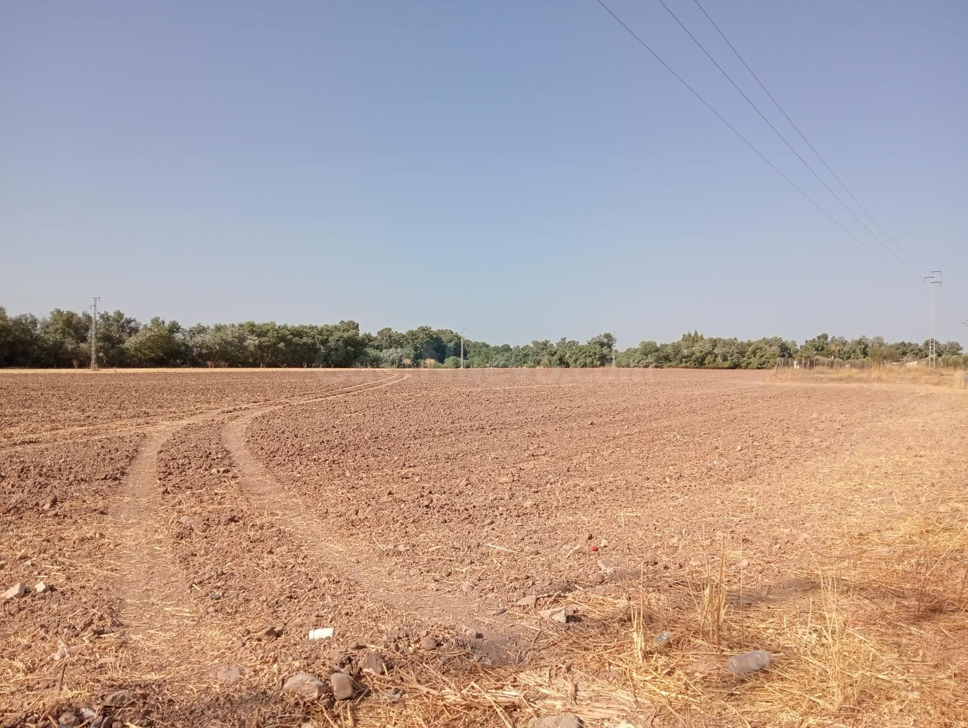 GRAN FINCA ZONA CARRETERA AEROPUERTO.