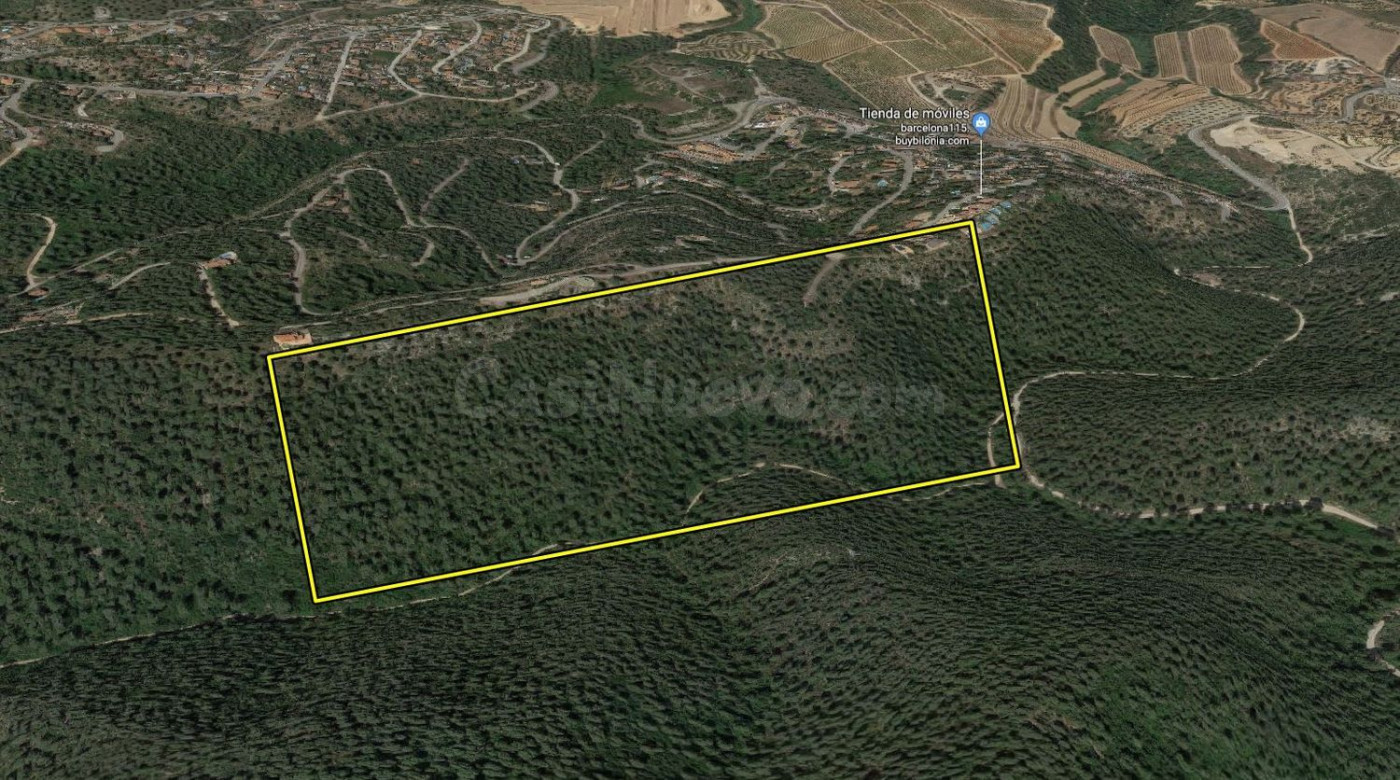 ¡GRAN OPORTUNIDAD! ¡FINCA RUSTICA ENTORNO PRIVILEGIADO! - foto 3