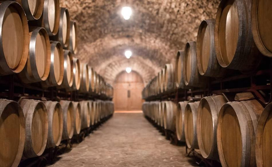 EXCLUSIVA BODEGA CON VIÑEDOS RESTAURANTE Y ESPACIOS PARA EVENTOS EN ALBACETE