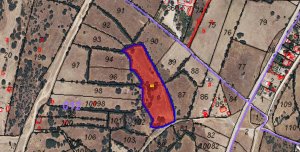 Terreno en venta en El Vellón - foto 5