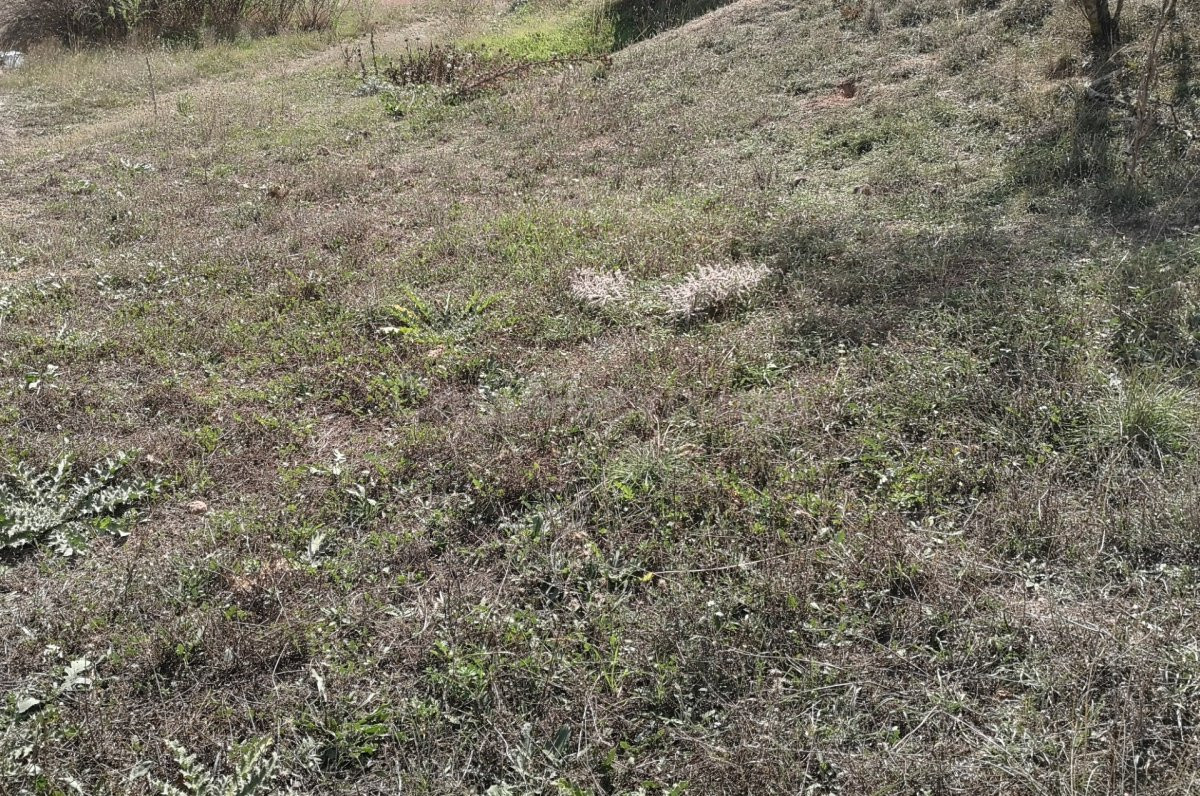 Se vende Terreno Urbano y Rústico en Fuentealbilla