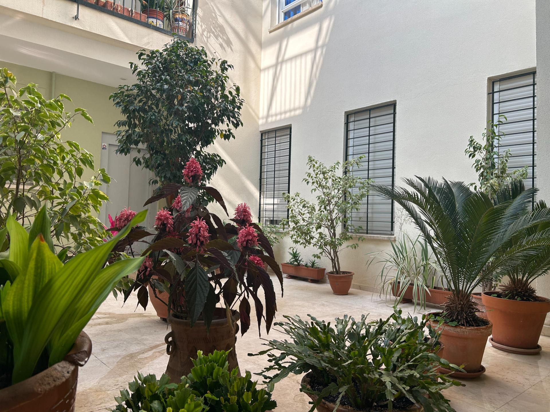 Tu vivienda en el centro de Sevilla con opcion de garaje y y trastero