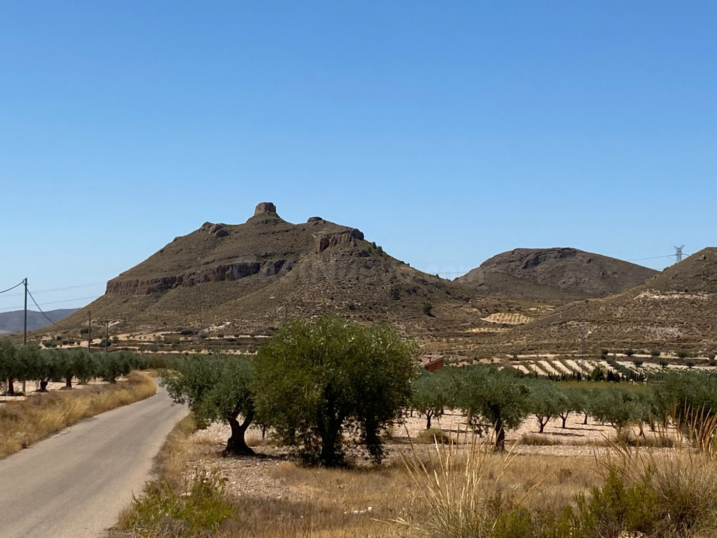 Parcela rústica en Jimena, Jumilla