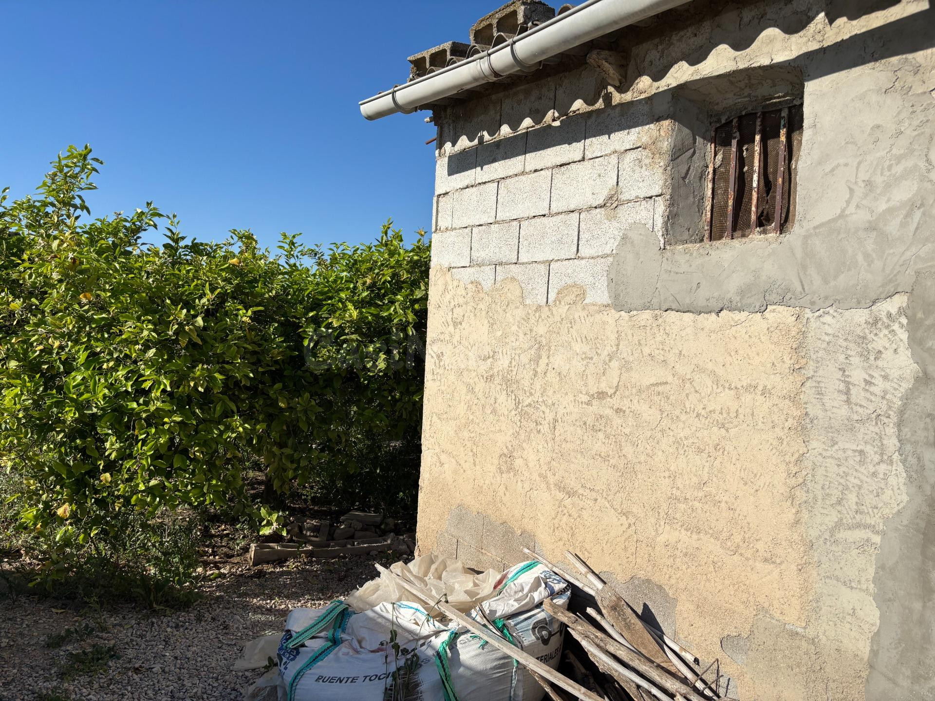 Se vende bonito huerto de limoneros entre al Cueva y  el Esparragal.