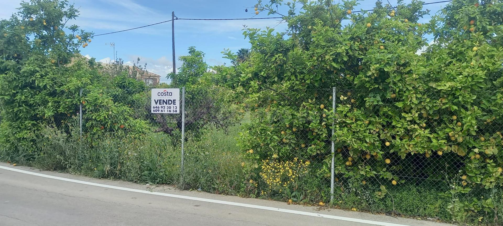 Se vende parcela edificable en la pedanía de la Raya