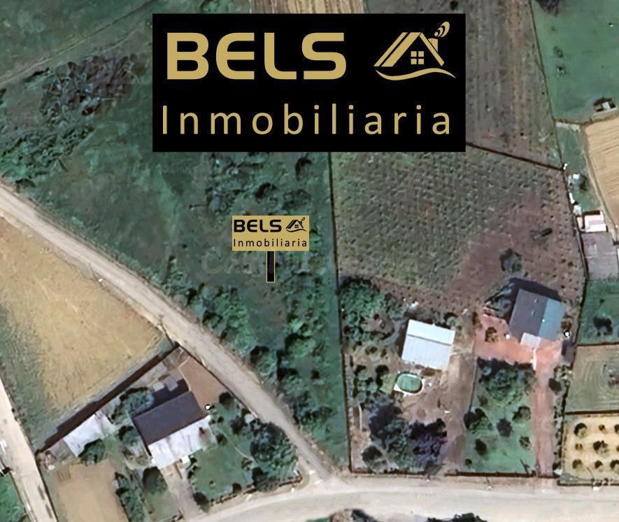 ¡Oportunidad única en Cabañas Raras!