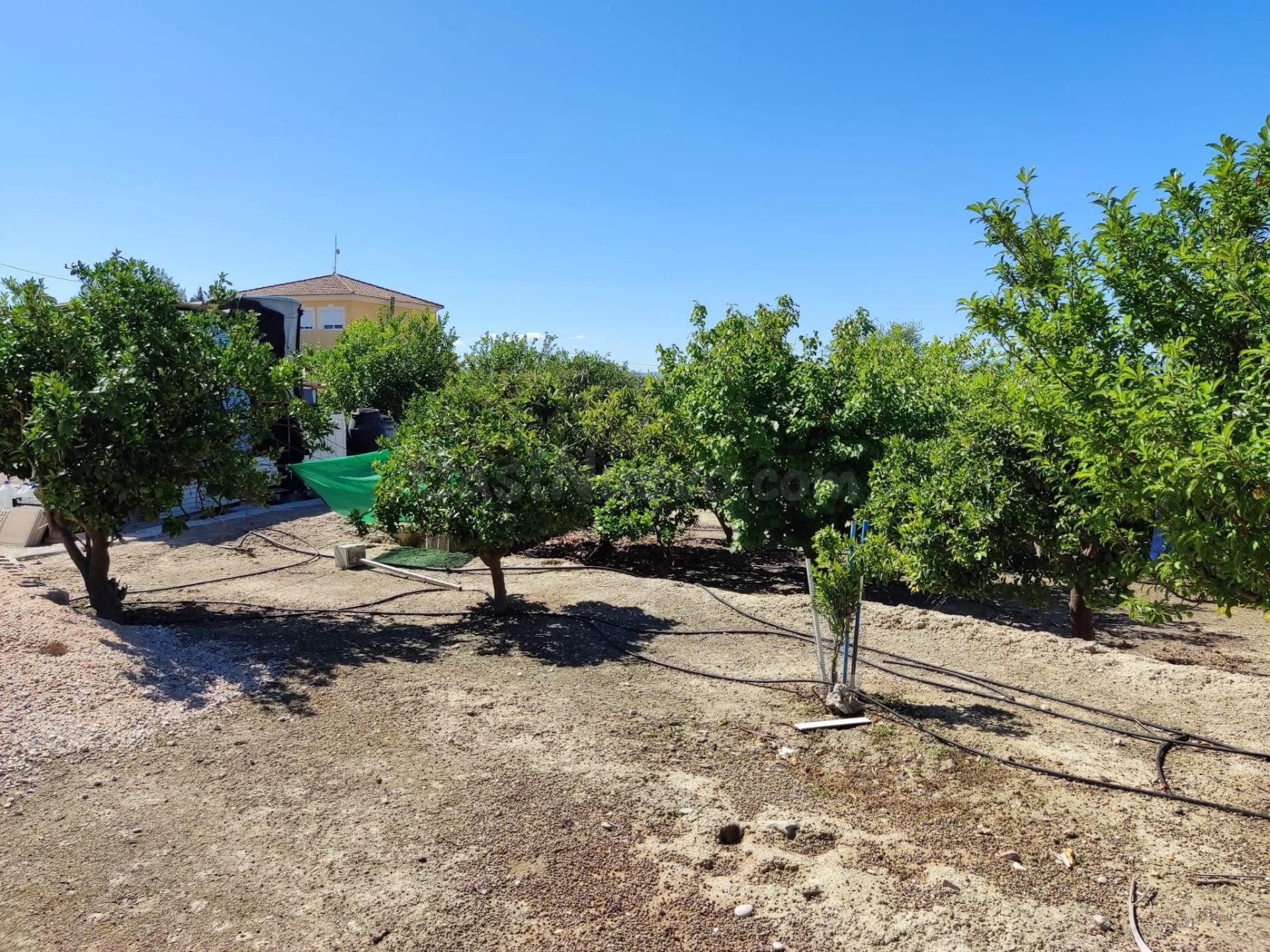 ¡TERRENO EN VENTA! INCREIBLE TERRENO DE MAS DE 2000 M2 EN EL LLANO DE MOLINA