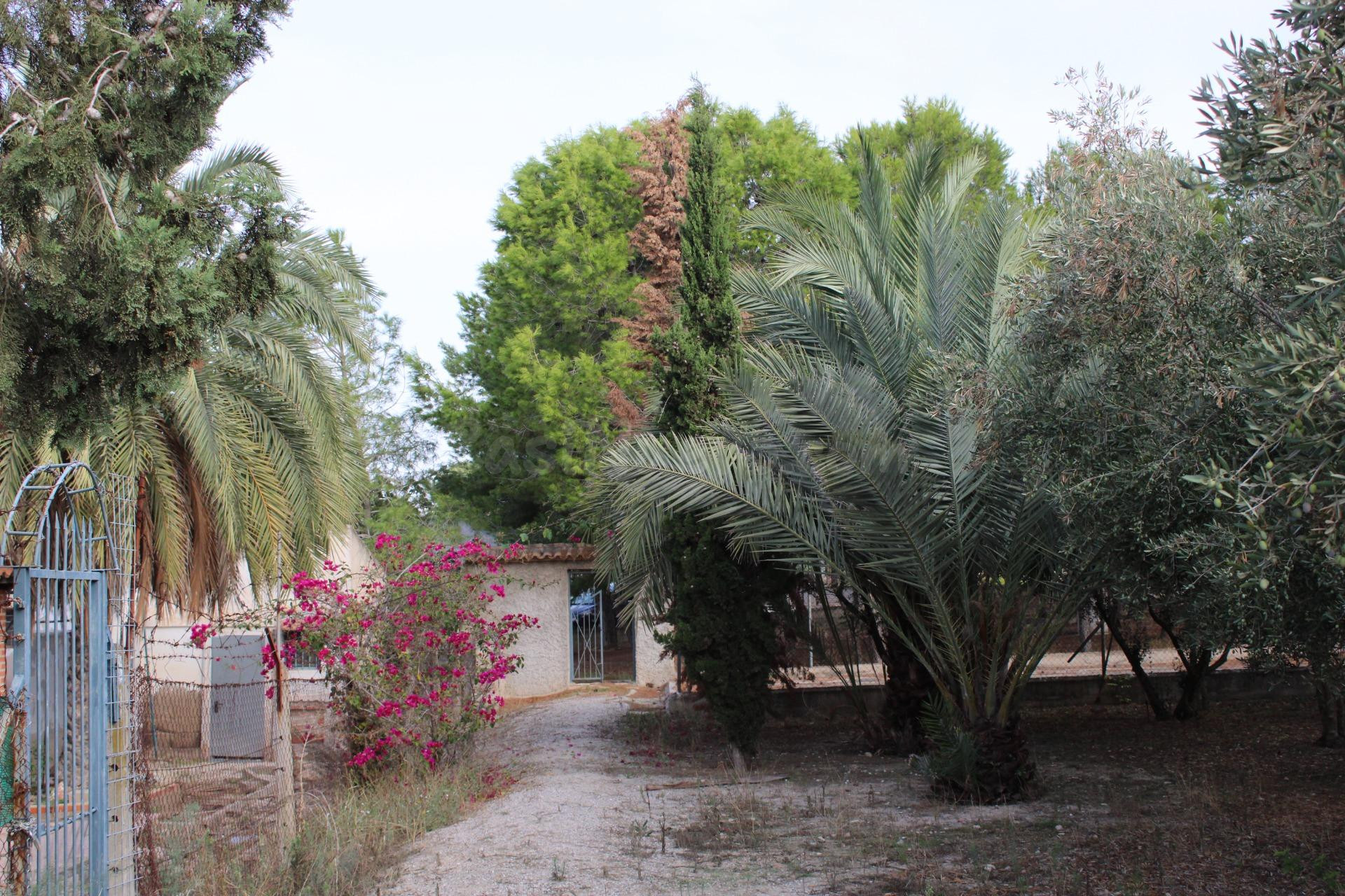 Terreno Rústico en Molina de Segura: Naturaleza y Tranquilidad a Tu Alcance