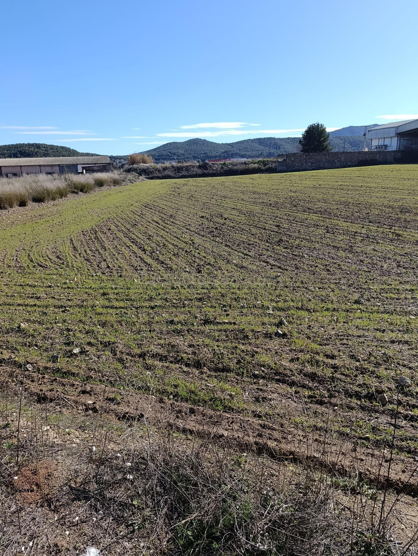 Oportunidad de Inversión en Terreno Rural en Cehegín