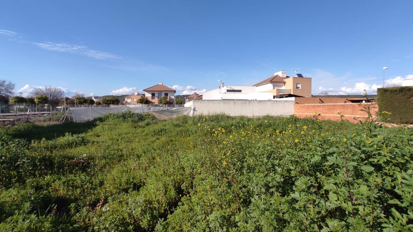 TERRENO EN VENTA EN SAN ANTONIO (EL CARPIO)