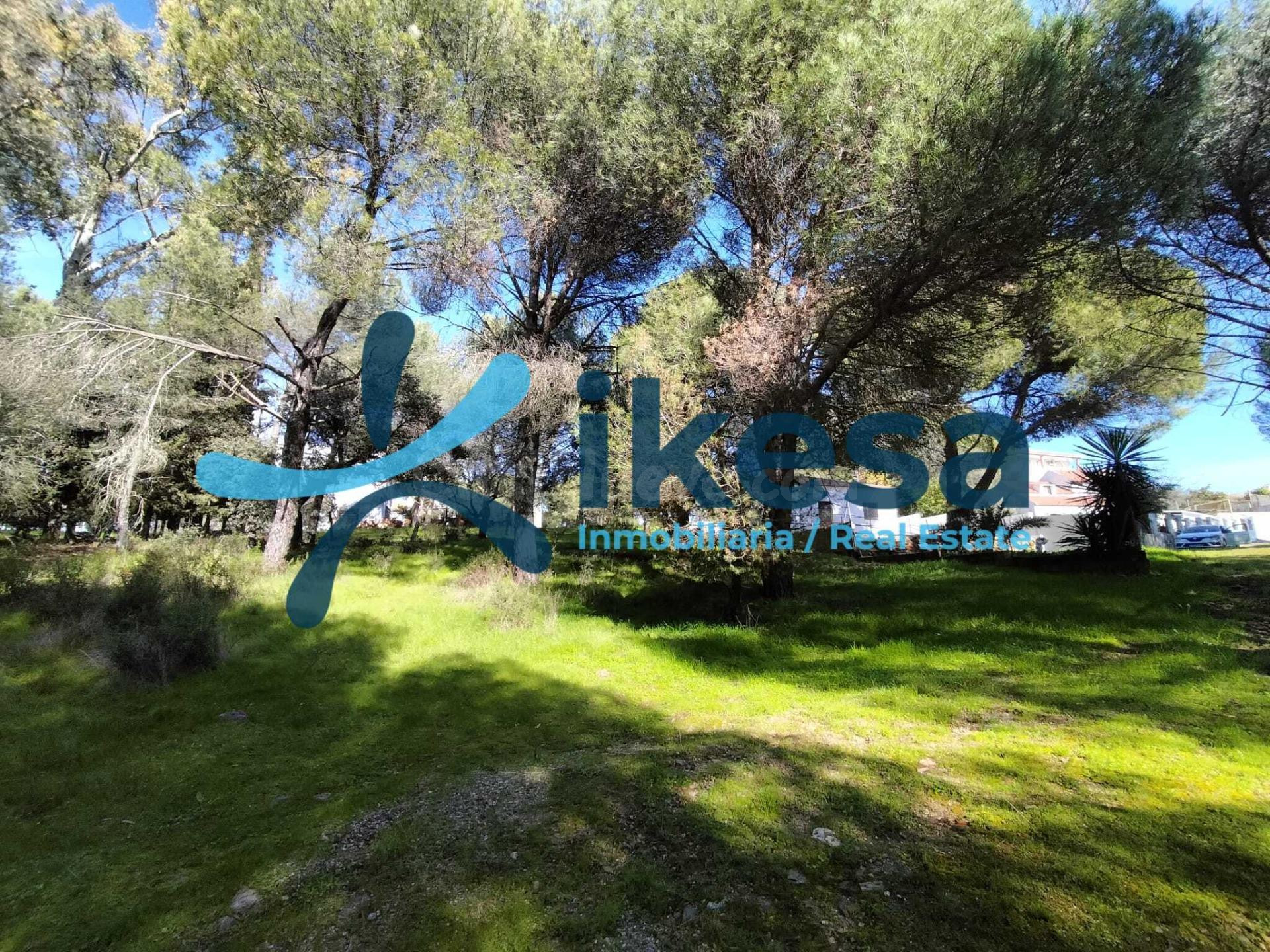Venta de suelo urbano residencial en Cerro Muriano (Córdoba)