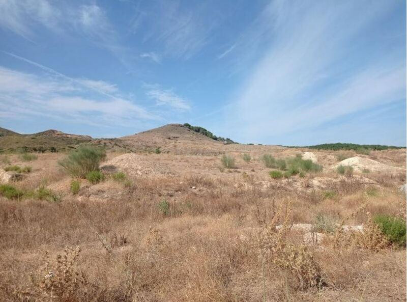 Venta de suelo urbano residencial  en SECTOR UR - TQ-01 ENSANCHE TORREALQUERIA, Alhaurín de la Torre, Málaga.