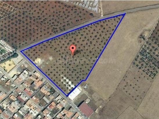 GRAN TERRENO URBANIZABLE EN TRANSFORMACIÓN EN PUERTO SERRANO