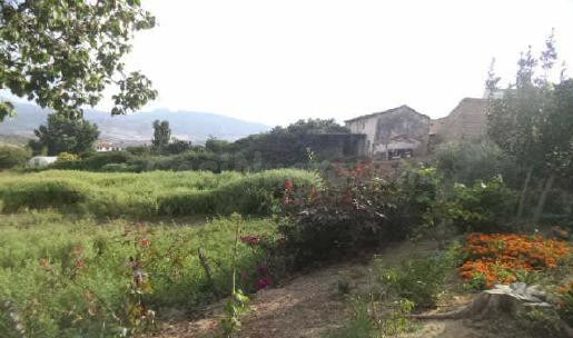 TERRENO URBANO NO CONSOLIDADO EN VENTA – OPORTUNIDAD DE INVERSIÓN EN ALGODONALES
