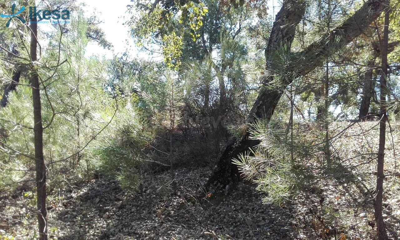 VENTA DE TERRENO RÚSTICO EN VALDELARCO, HUELVA