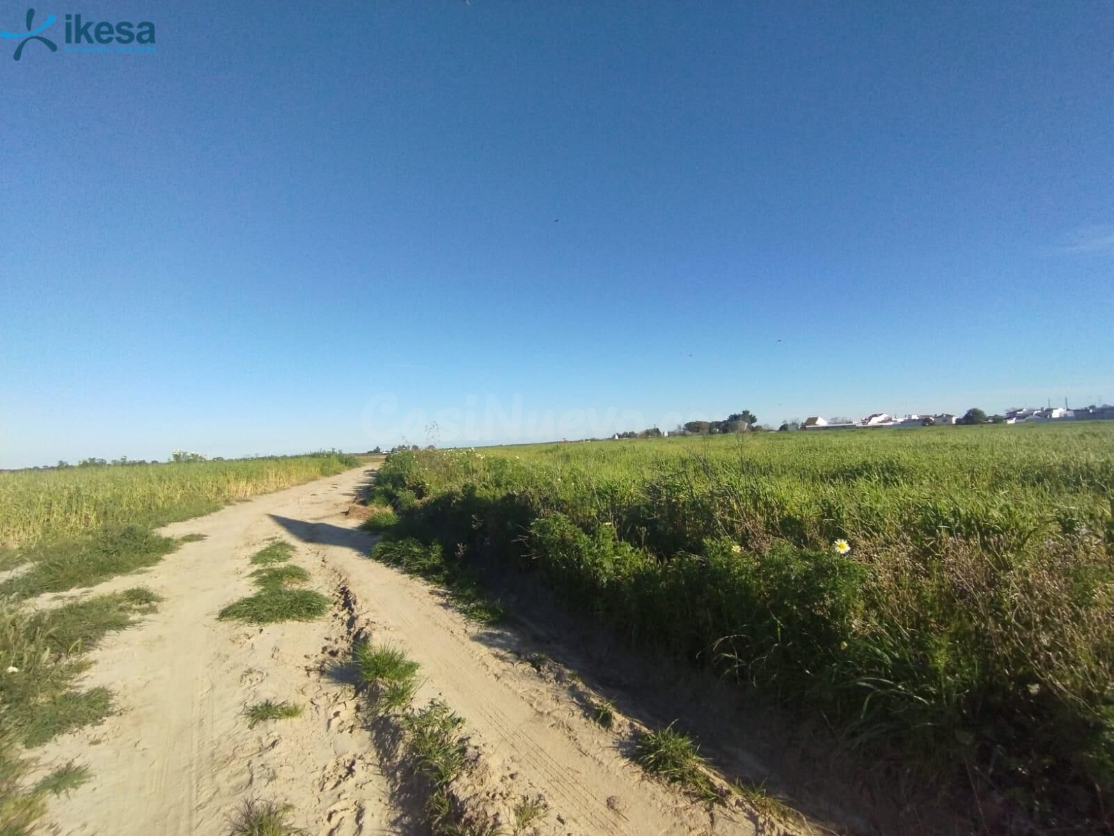 VENTA DE SUELO EN ALMONTE, HUELVA.