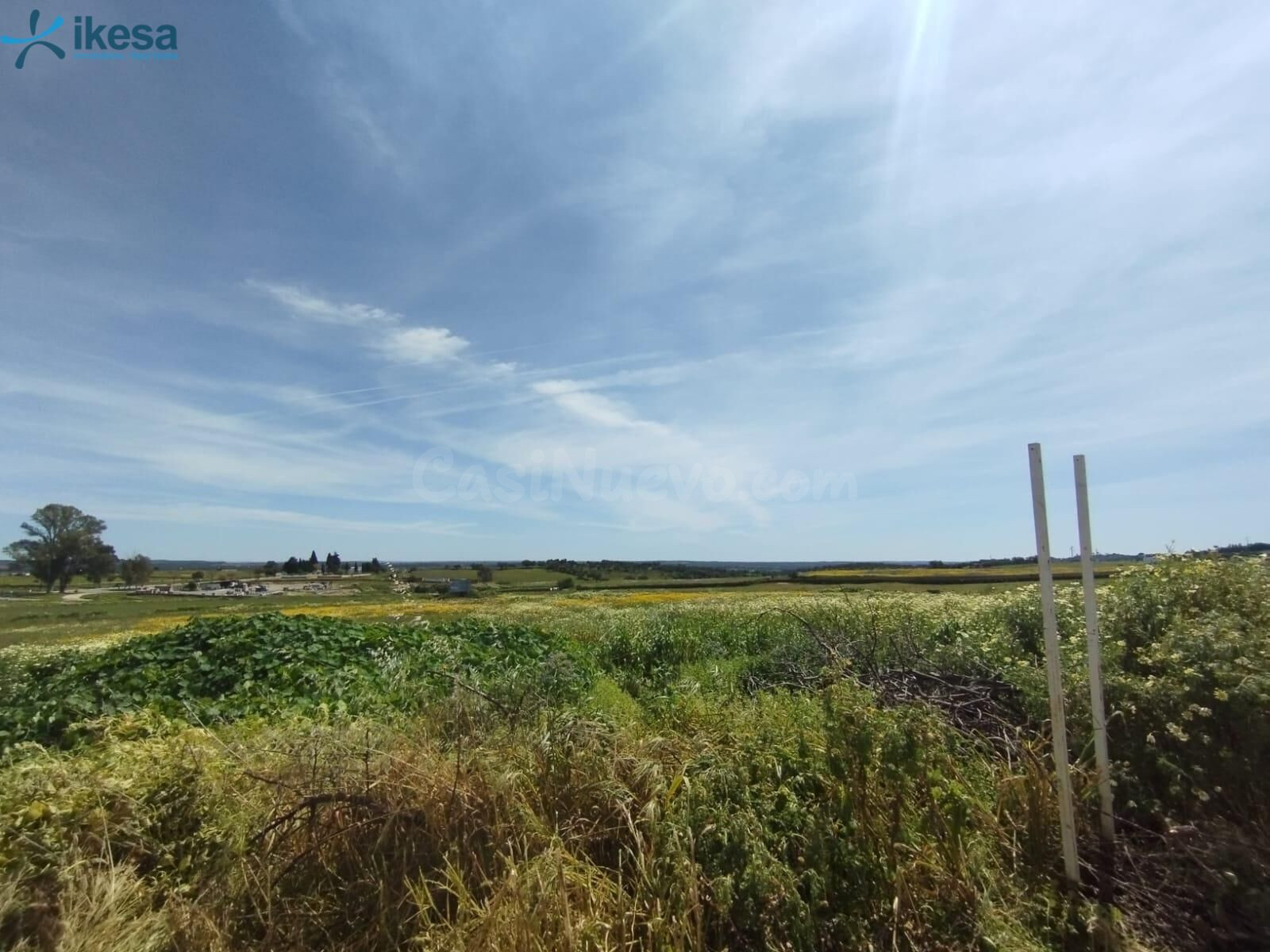 VENTA DE SUELO URBANIZABLE EN ALOSNO, HUELVA.