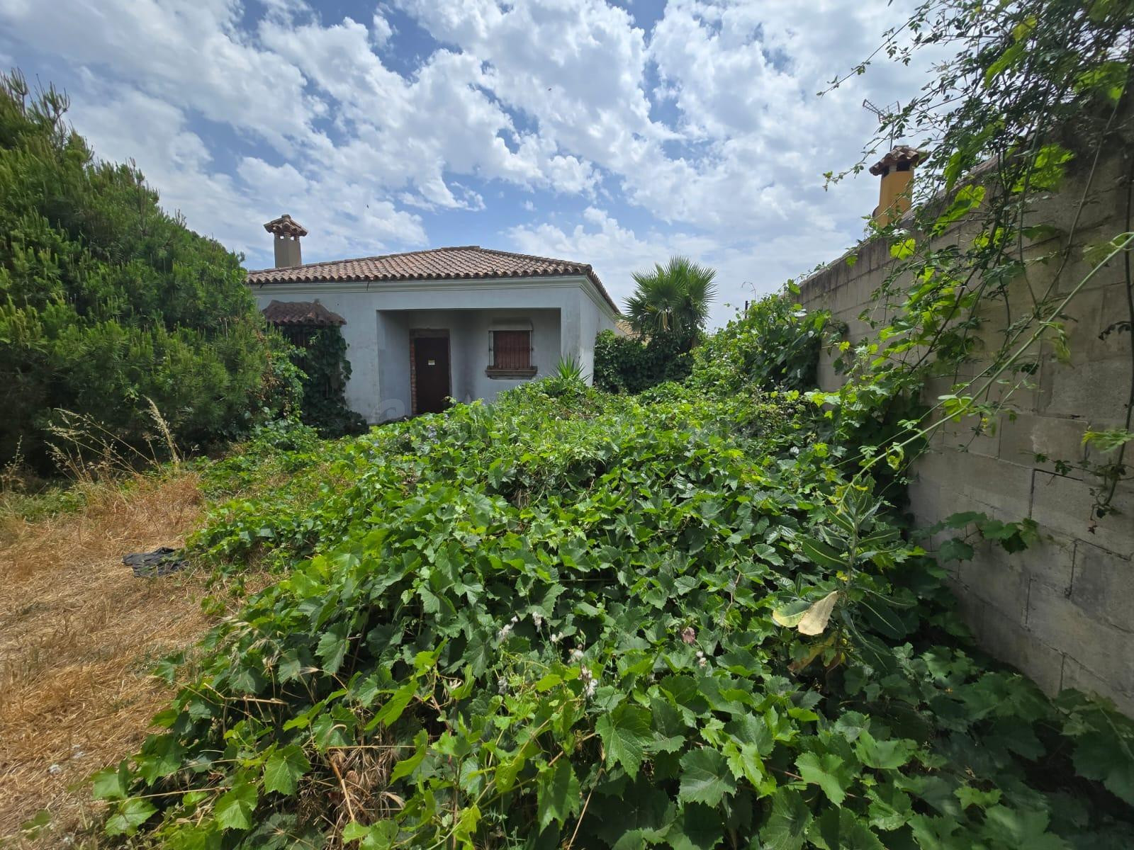 ¡Oportunidad para reformar a tu medida! Vivienda con gran potencial