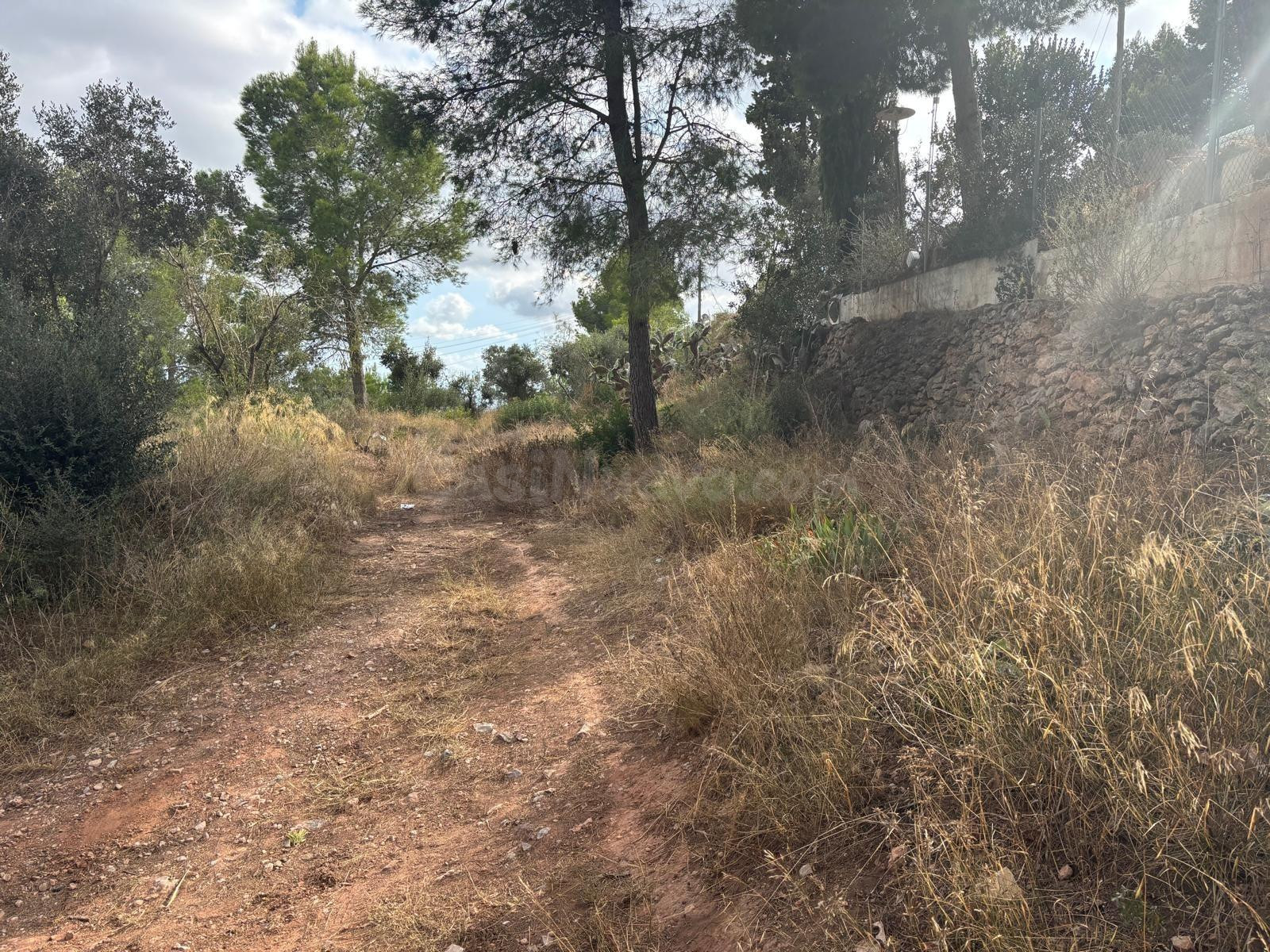 Terreno Urbano en venta Carrer Puig 13, Castellvell del Camp.