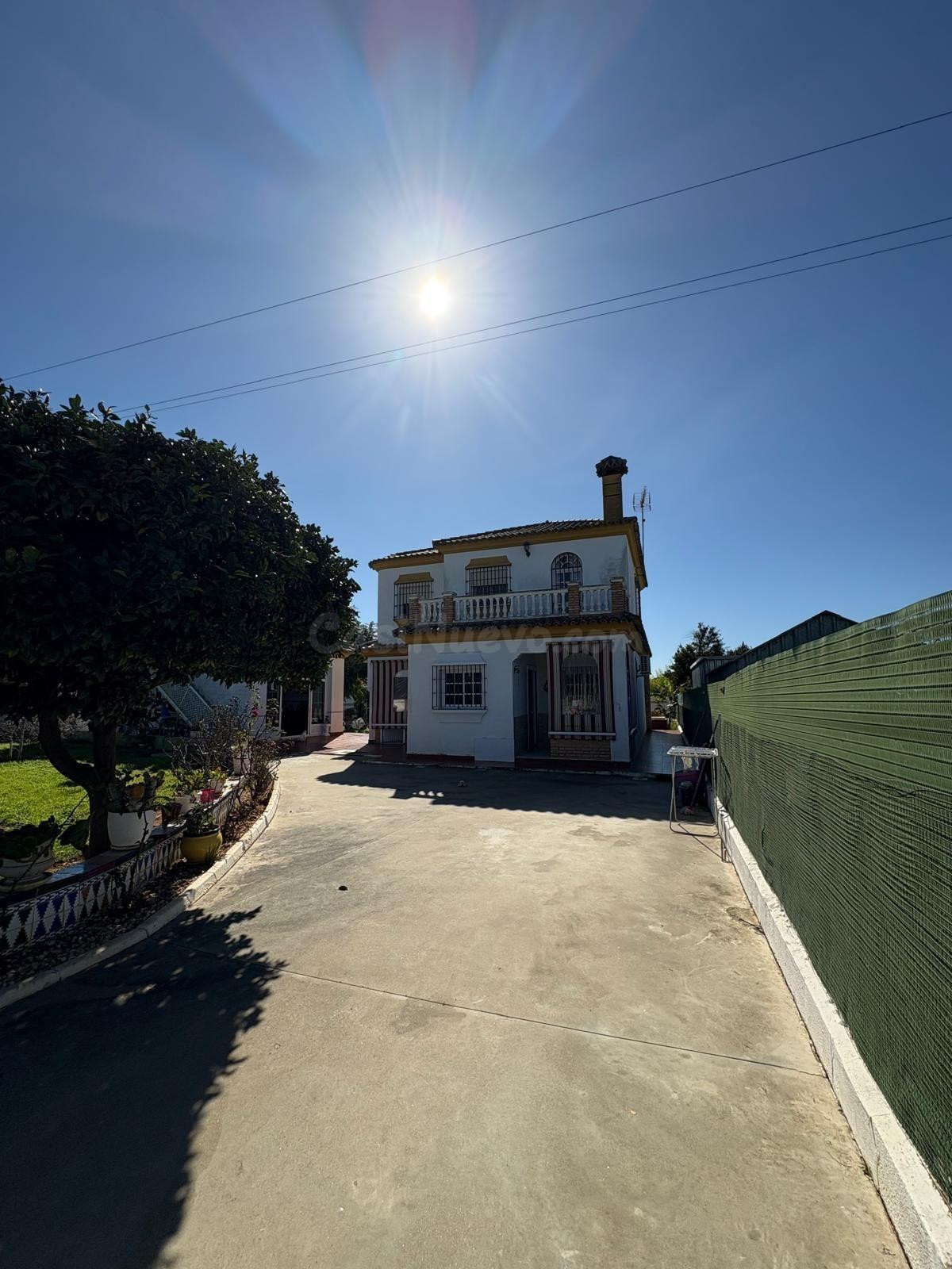 CHALET DOS PLANTAS RANA VERDE