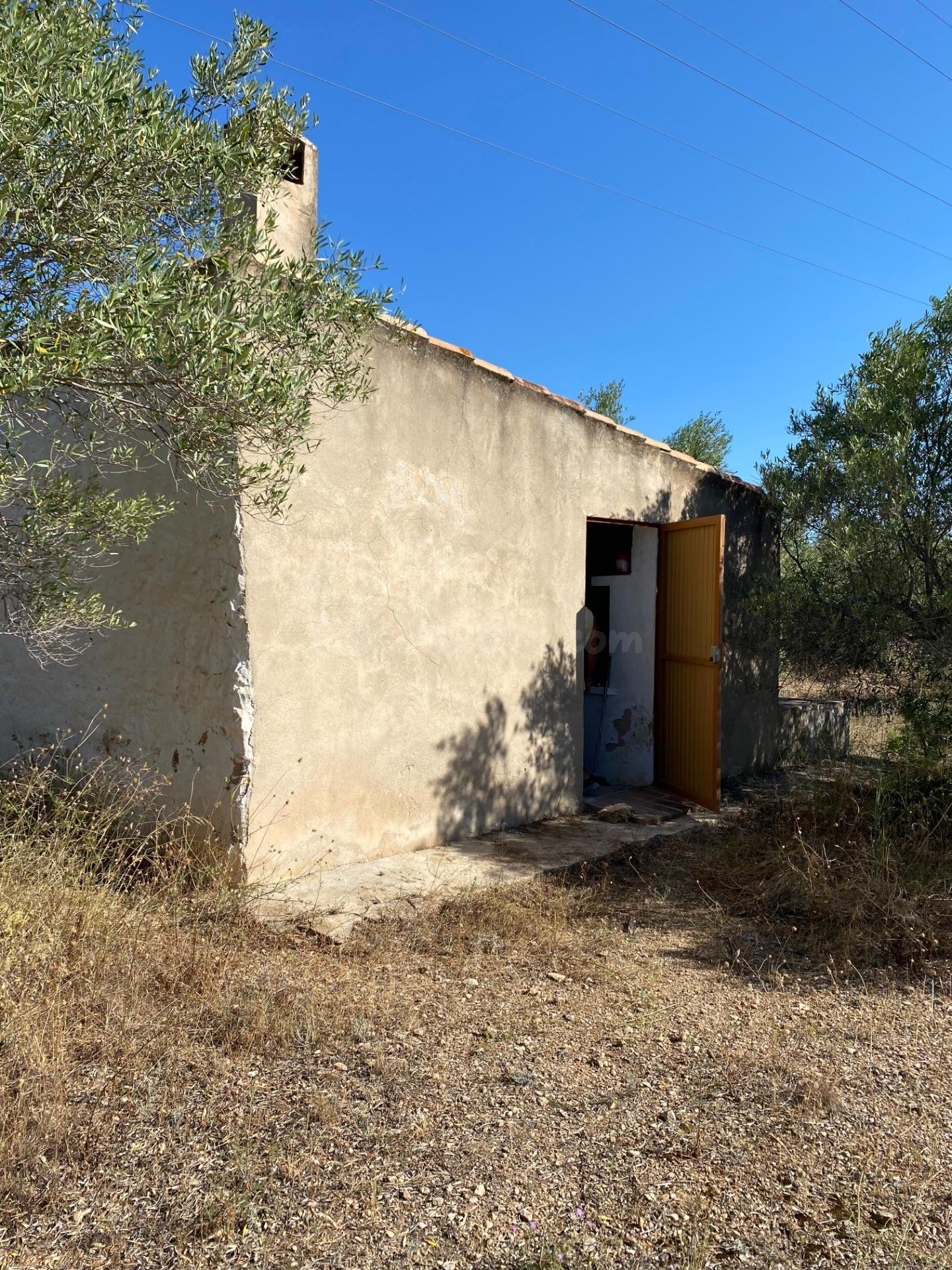 Finca Rústica con caseta y casa de madera, a 5,5 km del mar