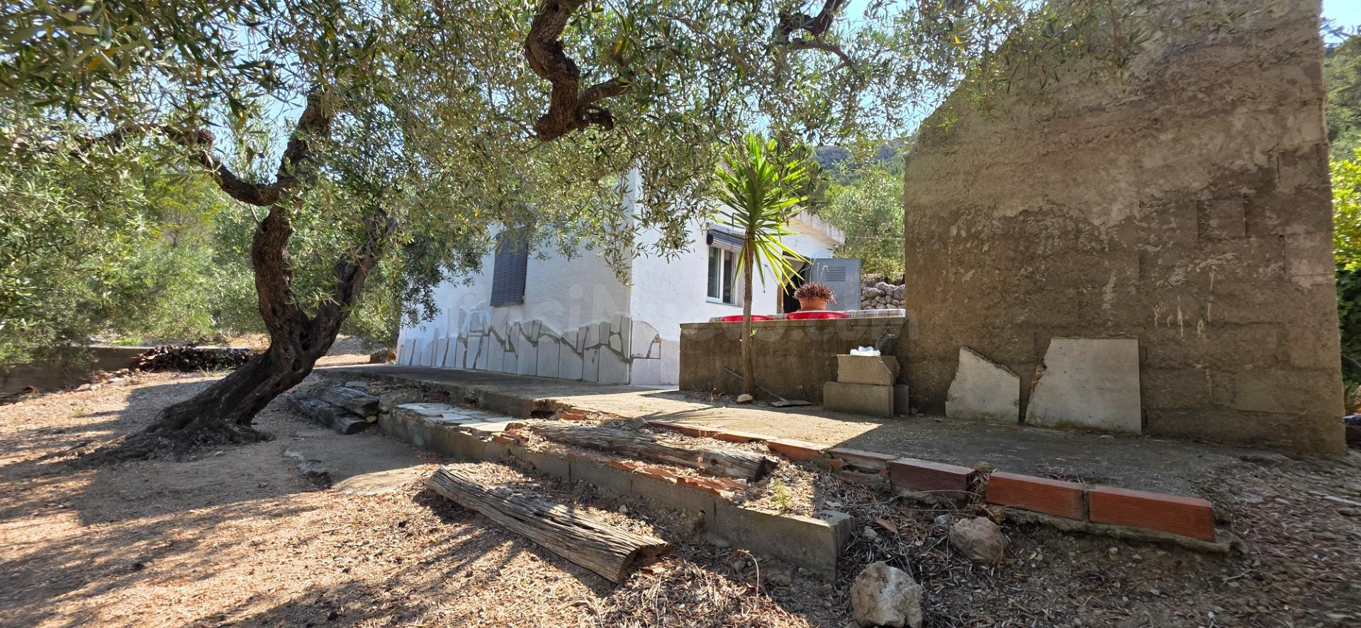 Oportunidad única: finca con casa de campo a 2 km de la playa naturista del Torn