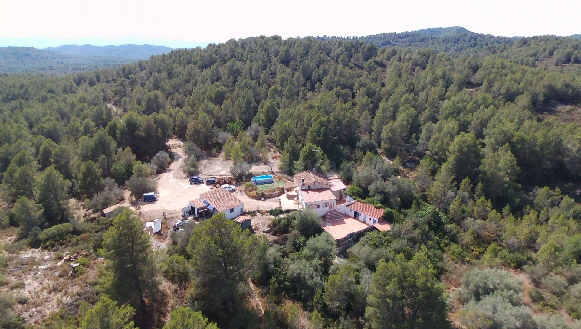 Exclusiva finca rústica de 350.000 m2 en Tivissa, a 10 km de - foto 2